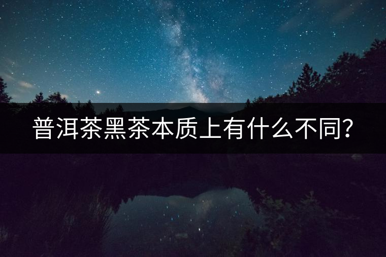 普洱茶黑茶本質上有什么不同？