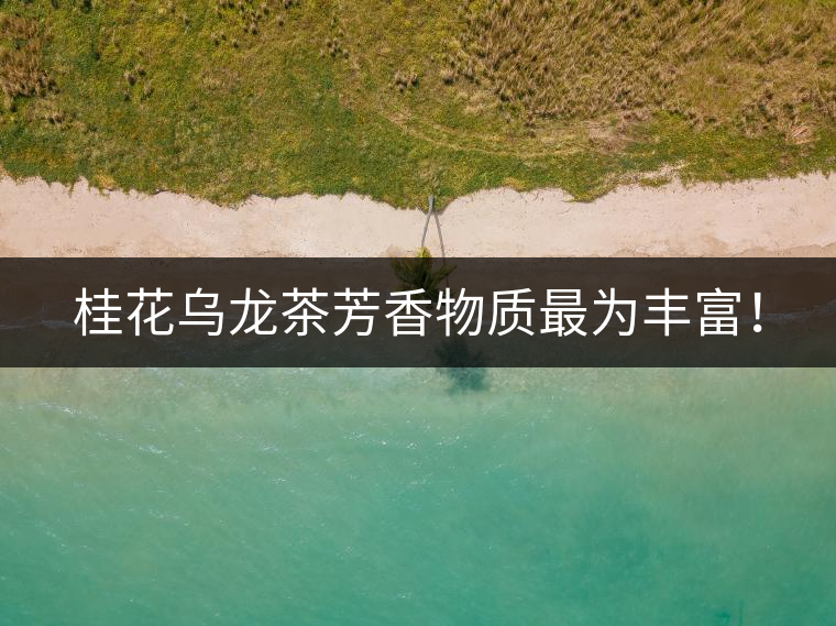 桂花烏龍茶芳香物質(zhì)最為豐富！