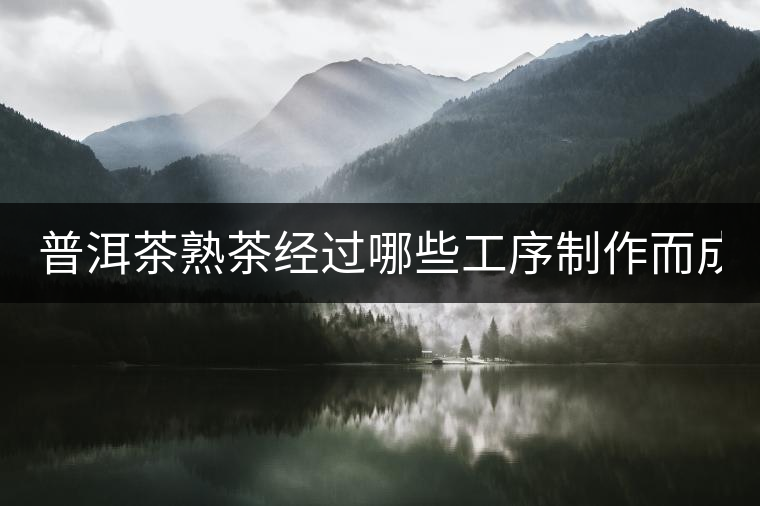 普洱茶熟茶經(jīng)過(guò)哪些工序制作而成？