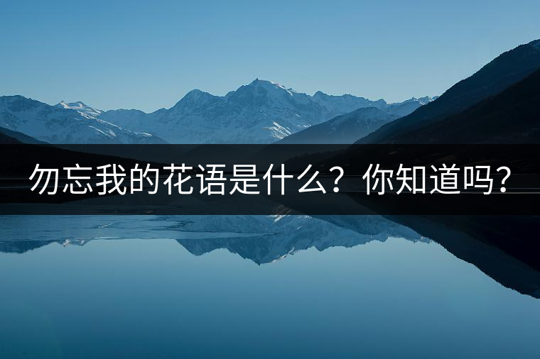勿忘我的花語是什么？你知道嗎？