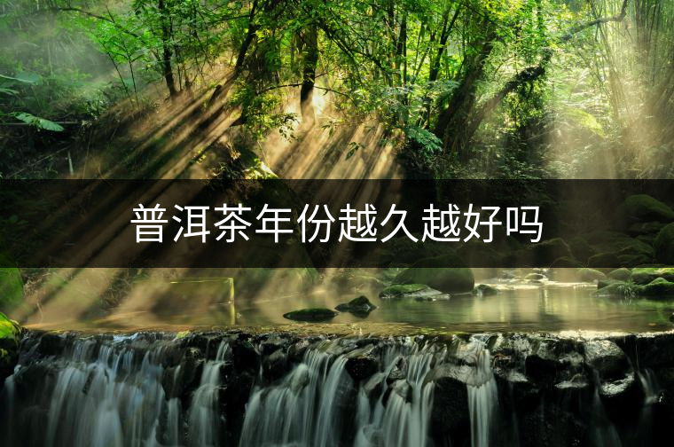 普洱茶年份越久越好嗎