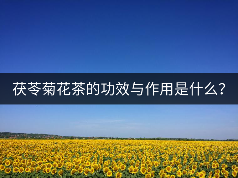 茯苓菊花茶的功效與作用是什么？