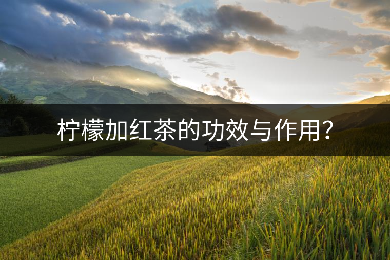 檸檬加紅茶的功效與作用？