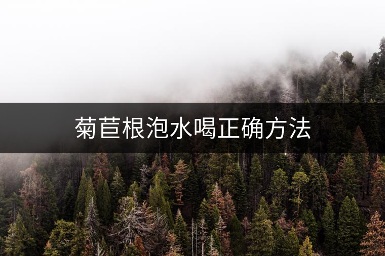 菊苣根泡水喝正確方法 菊苣根泡水喝正確方法