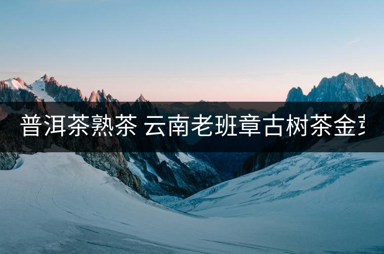 普洱茶熟茶 云南老班章古樹(shù)茶金芽特級(jí)熟茶357g大餅茶葉 久樽正品