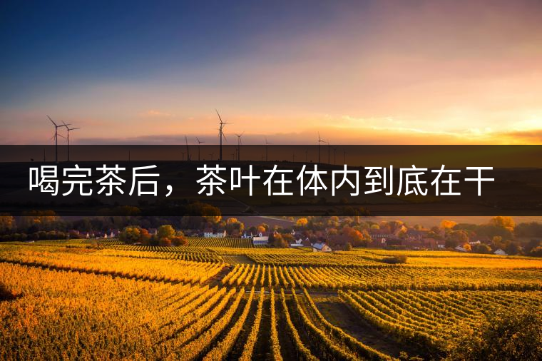 喝完茶后，茶葉在體內(nèi)到底在干嘛，游走的茶水