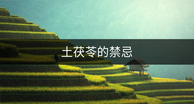 土茯苓的禁忌 土茯苓的禁忌