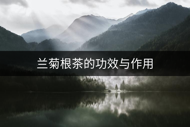 蘭菊根茶的功效與作用 蘭菊根茶的功效與作用