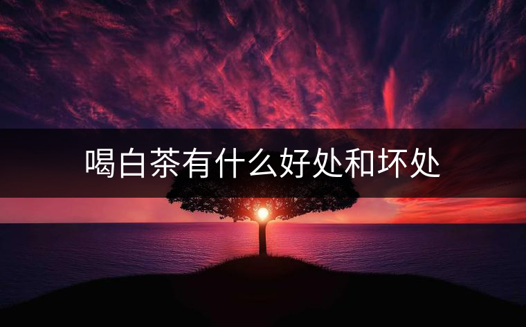 喝白茶有什么好處和壞處 喝白茶有什么好處和壞處