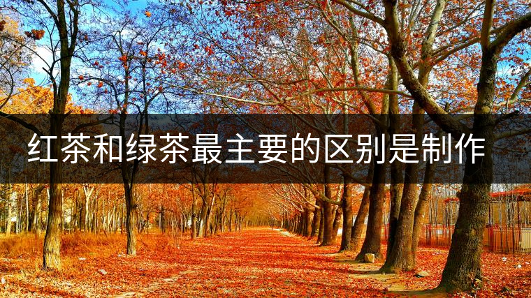 紅茶和綠茶最主要的區(qū)別是制作工藝不一樣 紅茶和綠茶最主要的區(qū)別是制作工藝不一樣