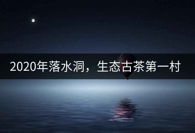 2020年落水洞，生態(tài)古茶第一村-易武中聘號