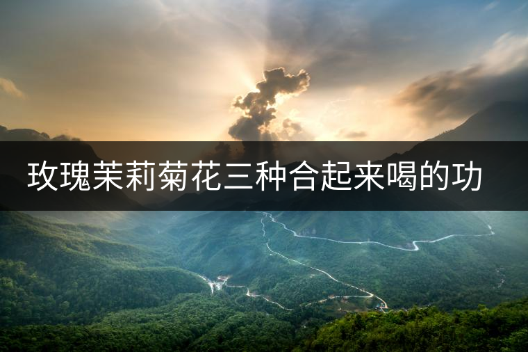 玫瑰茉莉菊花三種合起來(lái)喝的功效