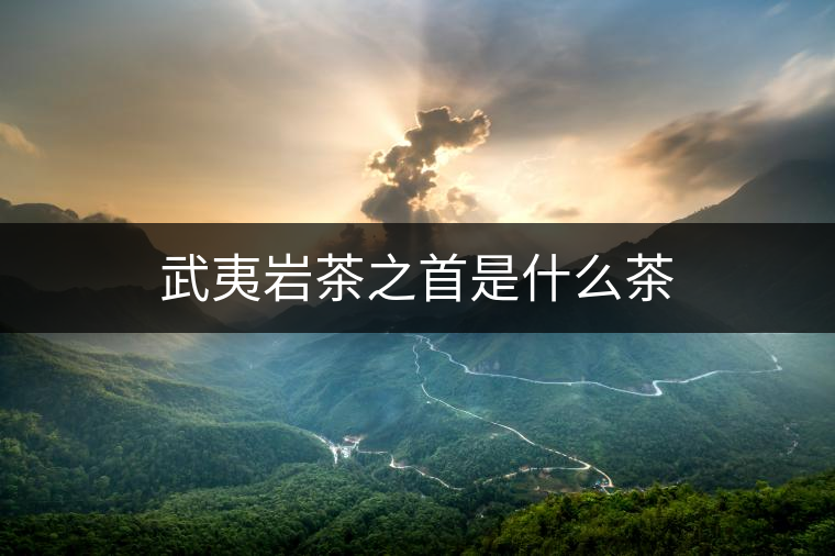 武夷巖茶之首是什么茶 武夷巖茶之首是什么茶