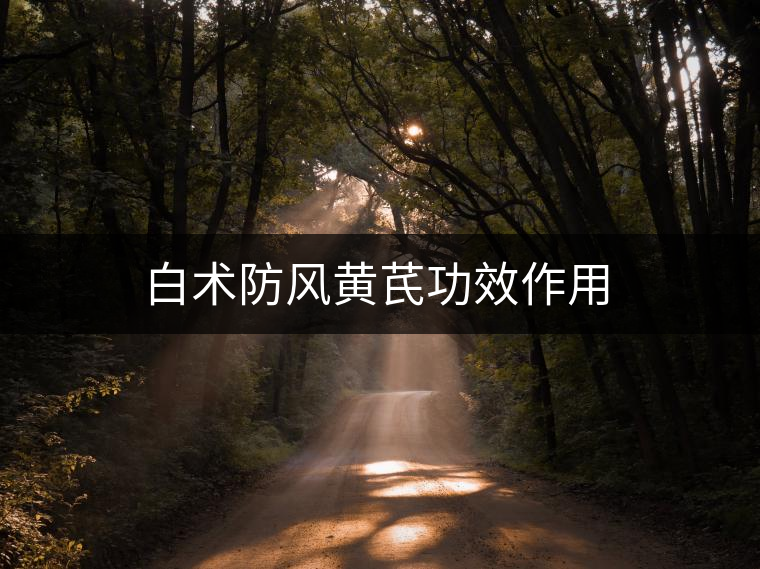 白術防風黃芪功效作用