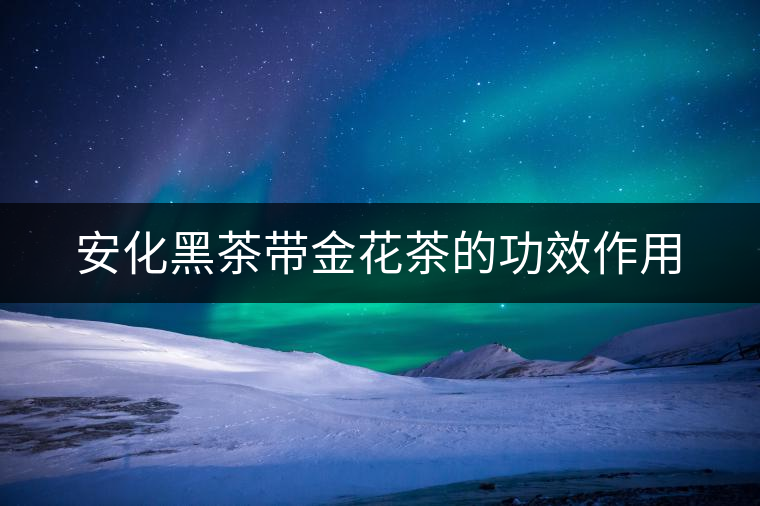 安化黑茶帶金花茶的功效作用 安化黑茶帶金花茶的功效作用