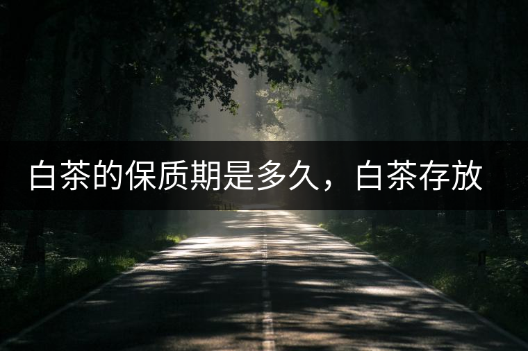 白茶的保質(zhì)期是多久，白茶存放多長(zhǎng)時(shí)間好喝