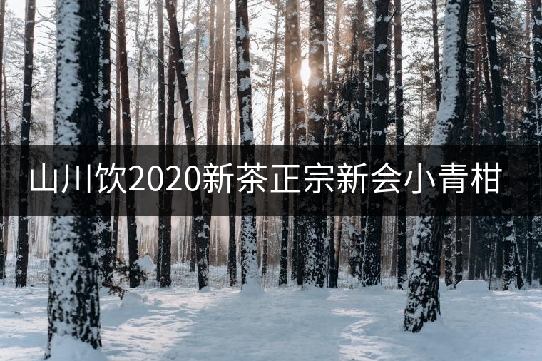 山川飲2020新茶正宗新會(huì)小青柑普洱茶陳皮熟茶柑普橘茶葉100g送禮 山川飲2020新茶正宗新會(huì)小青柑普洱茶陳皮熟茶柑普橘茶葉100g送禮