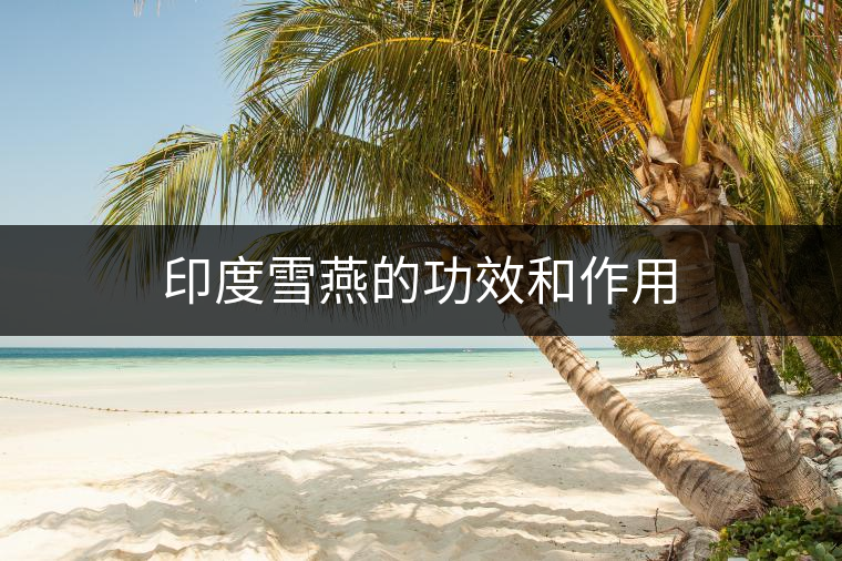 印度雪燕的功效和作用 印度雪燕的功效和作用