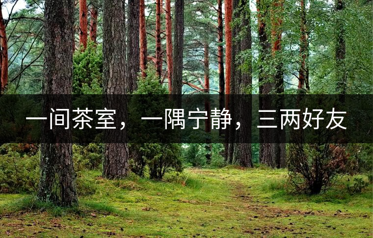 一間茶室，一隅寧靜，三兩好友