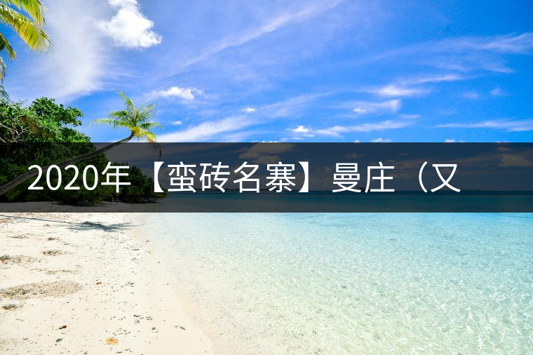 2020年【蠻磚名寨】曼莊（又作：蠻磚、曼磚）-易武中聘號(hào)