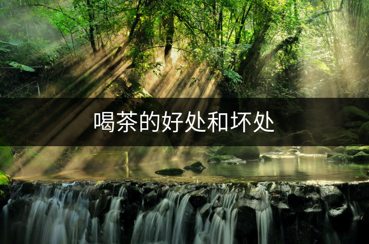 喝茶的好處和壞處 喝茶的好處和壞處
