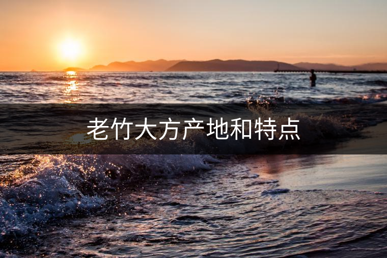 老竹大方產(chǎn)地和特點(diǎn) 老竹大方產(chǎn)地和特點(diǎn)