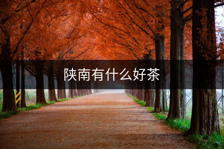 陜南有什么好茶 陜南有什么好茶