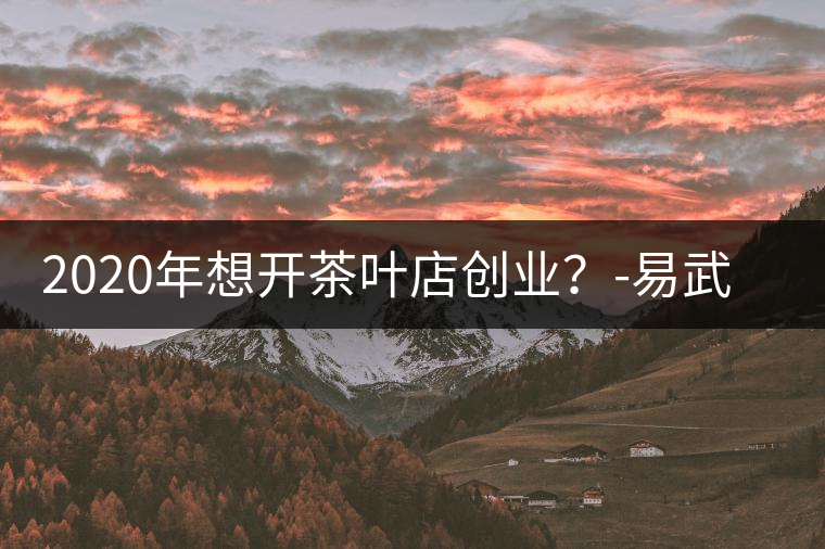 2020年想開茶葉店創(chuàng)業(yè)？-易武中聘號(hào)