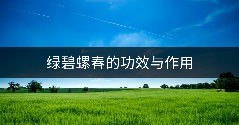 綠碧螺春的功效與作用 綠碧螺春的功效與作用