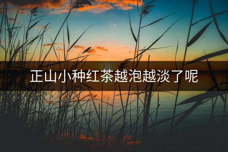 正山小種紅茶越泡越淡了呢 正山小種紅茶越泡越淡了呢