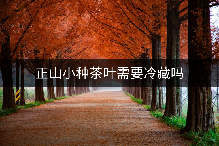 正山小種茶葉需要冷藏嗎