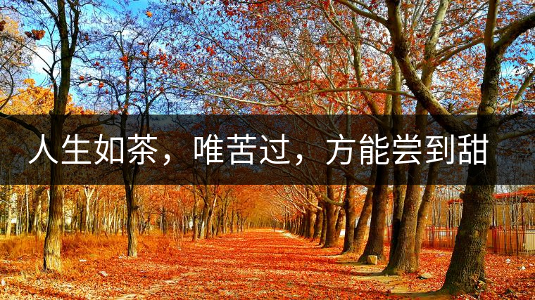 人生如茶，唯苦過，方能嘗到甜滋味