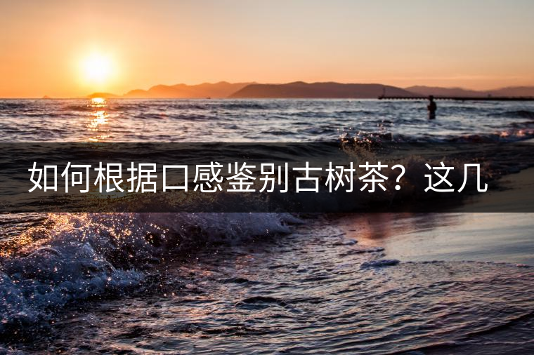 如何根據(jù)口感鑒別古樹茶？這幾個(gè)技巧值得收藏