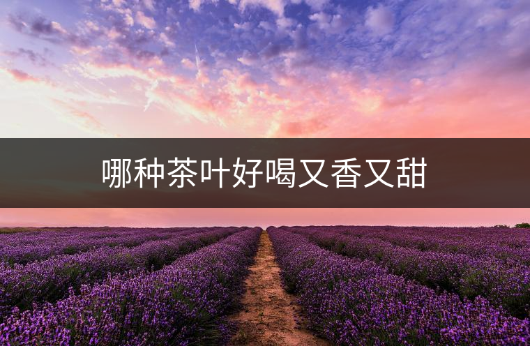 哪種茶葉好喝又香又甜