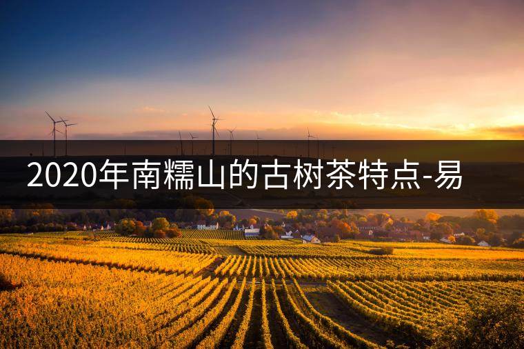 2020年南糯山的古樹(shù)茶特點(diǎn)-易武中聘號(hào)