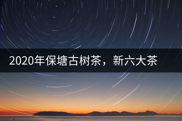 2020年保塘古樹(shù)茶，新六大茶山之勐宋茶佼佼者-易武中聘號(hào)