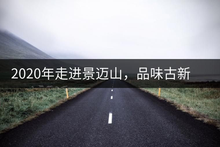 2020年走進景邁山，品味古新六大茶山古樹茶之韻-易武中聘號