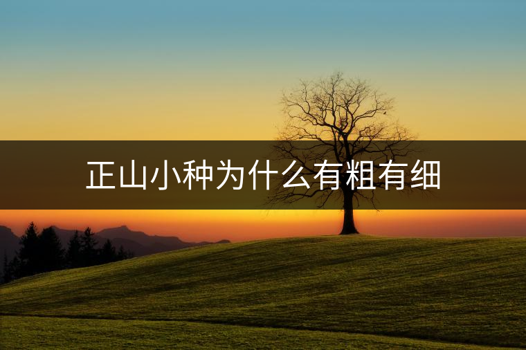 正山小種為什么有粗有細 正山小種為什么有粗有細