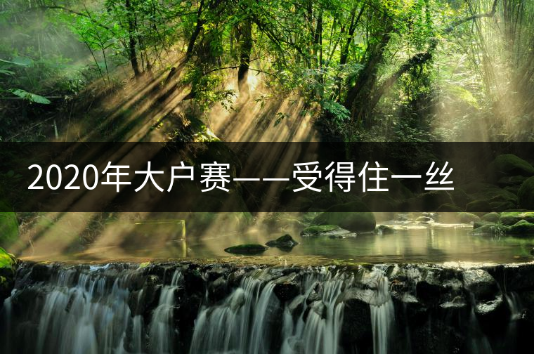 2020年大戶賽——受得住一絲苦，才能盡享一口甜-易武中聘號