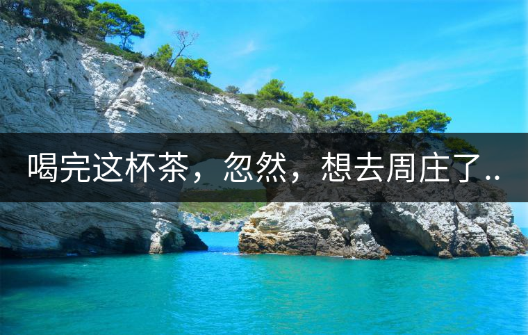 喝完這杯茶，忽然，想去周莊了...