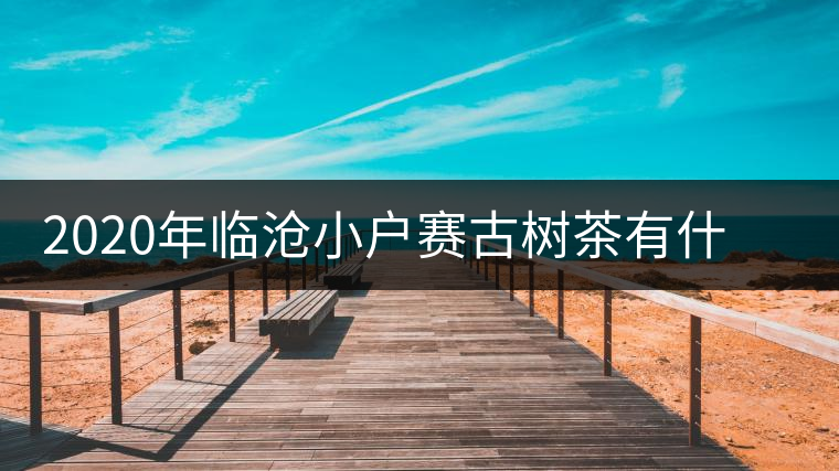 2020年臨滄小戶賽古樹茶有什么特點(diǎn)？因何被稱為“賽冰島”？-易武中聘號