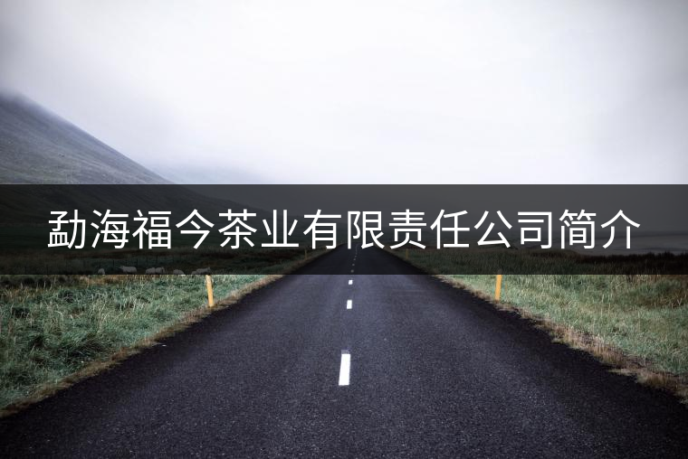勐海福今茶業(yè)有限責(zé)任公司簡(jiǎn)介