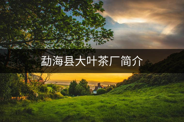 勐?？h大葉茶廠簡介
