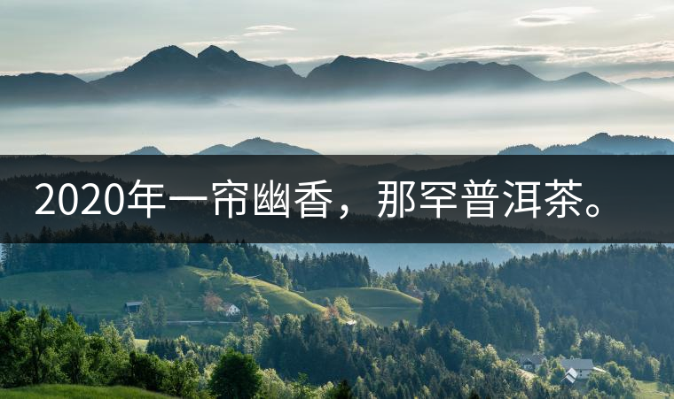 2020年一簾幽香，那罕普洱茶。-易武中聘號(hào)