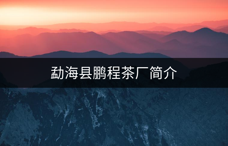 勐?？h鵬程茶廠簡介