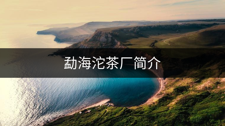 勐海沱茶廠簡(jiǎn)介 勐海沱茶廠簡(jiǎn)介