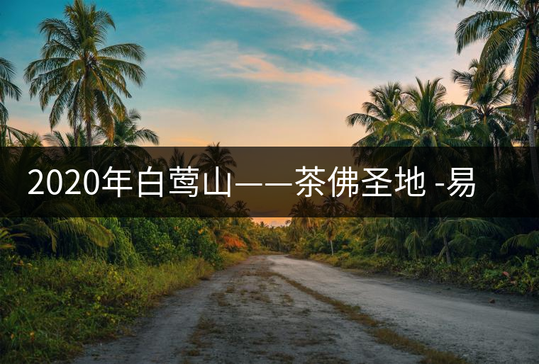 2020年白鶯山——茶佛圣地 -易武中聘號(hào)