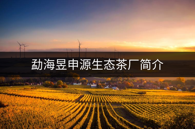 勐海昱申源生態(tài)茶廠簡(jiǎn)介