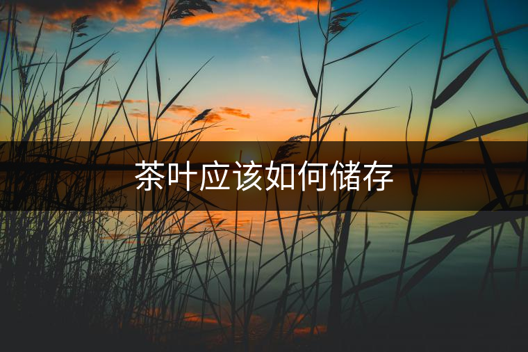 茶葉應(yīng)該如何儲(chǔ)存