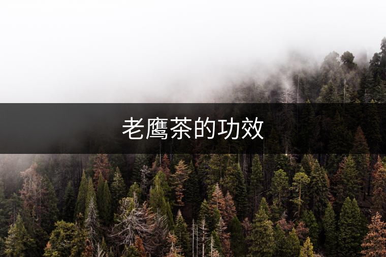 老鷹茶的功效 老鷹茶的功效